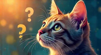 Die 5 meistgestellten Fragen (FAQ) zu Katzenernährung